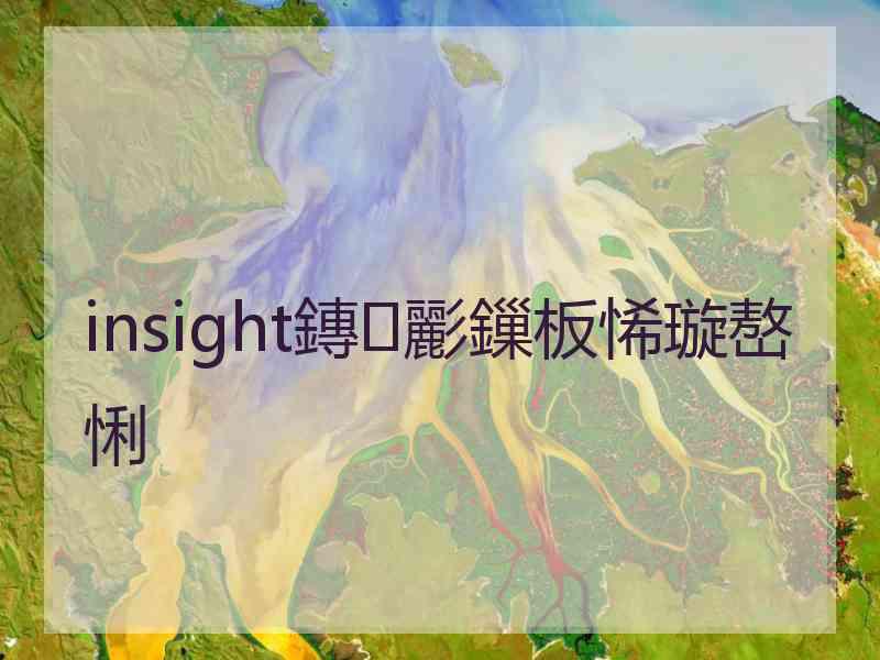 insight鏄彲鏁板悕璇嶅悧