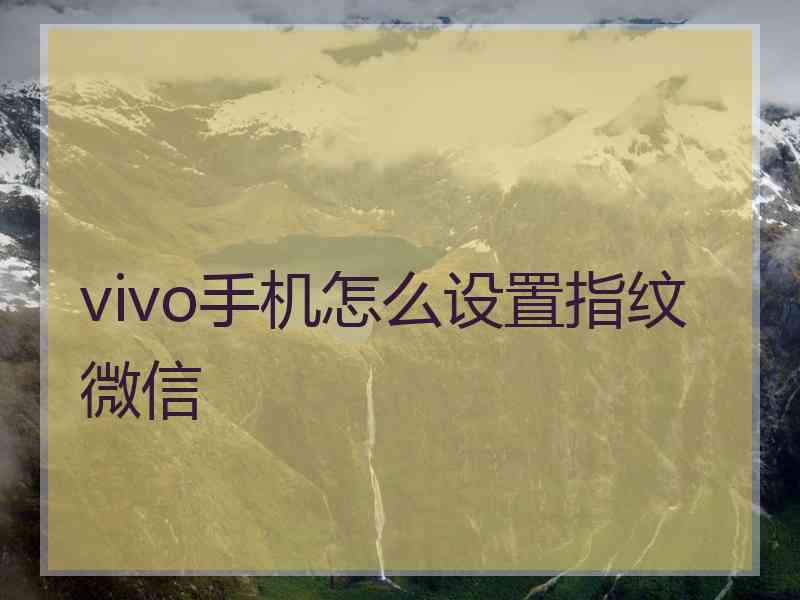 vivo手机怎么设置指纹微信