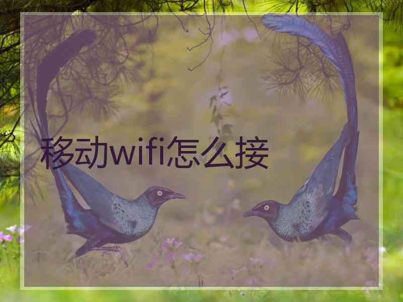 移动wifi怎么接