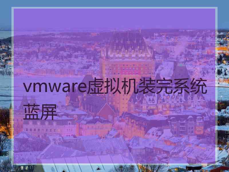 vmware虚拟机装完系统蓝屏