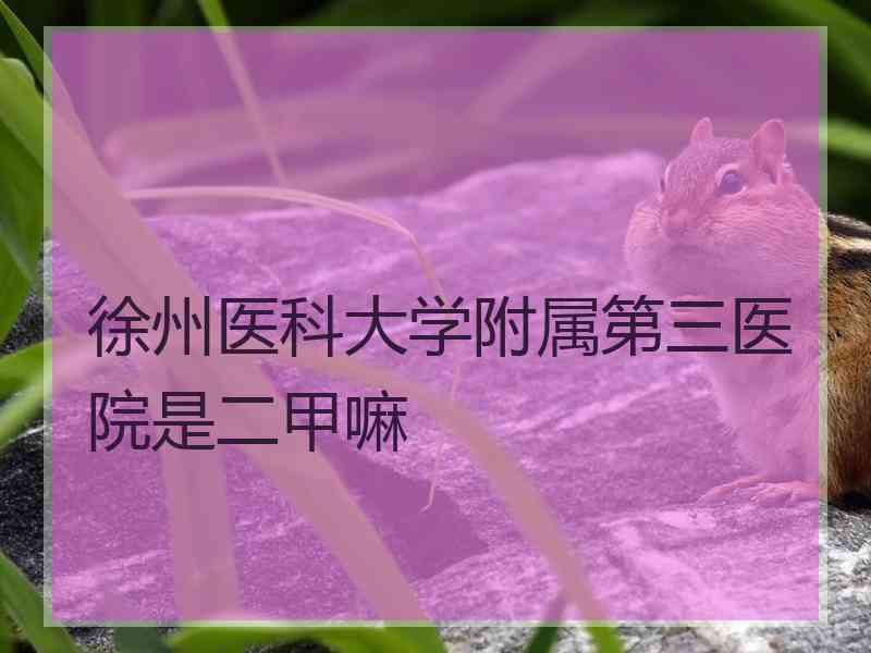 徐州医科大学附属第三医院是二甲嘛