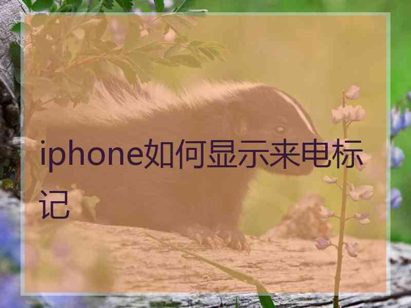 iphone如何显示来电标记