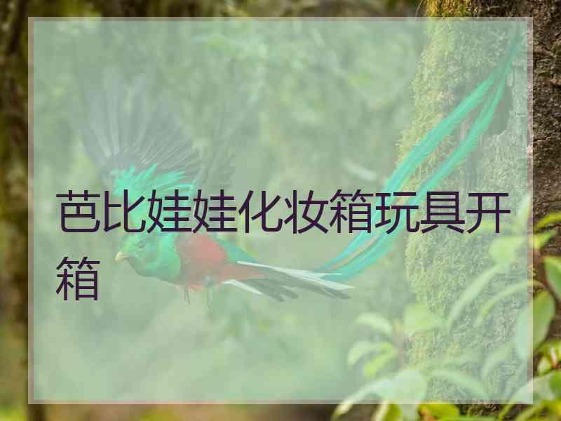 芭比娃娃化妆箱玩具开箱