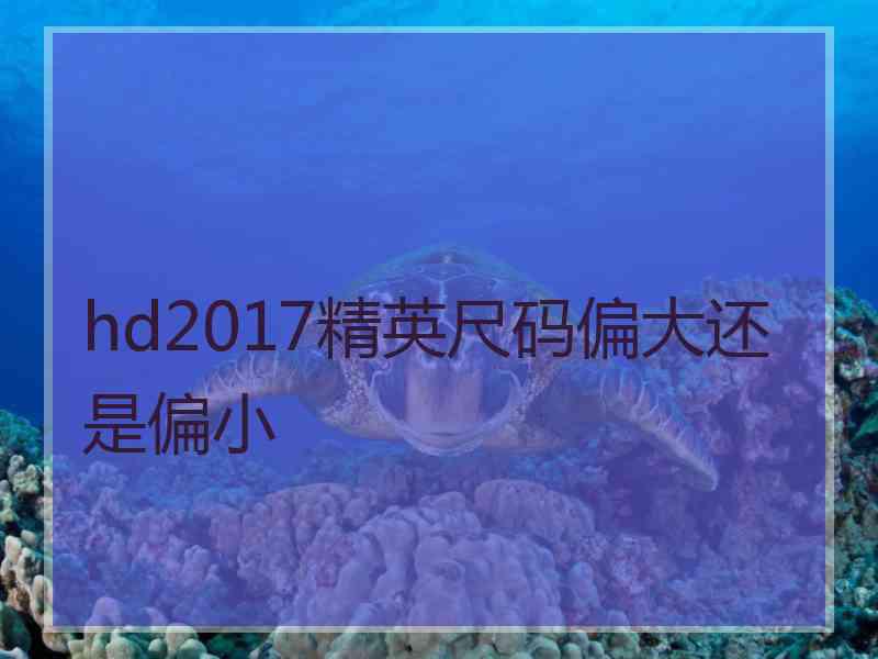 hd2017精英尺码偏大还是偏小