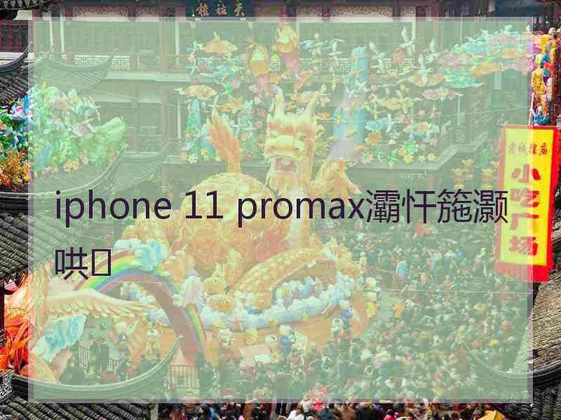 iphone 11 promax灞忓箷灏哄