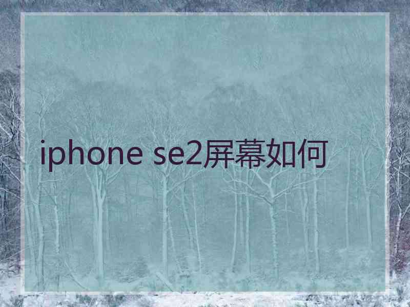 iphone se2屏幕如何