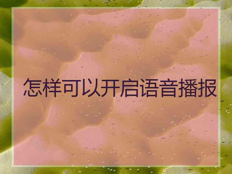 怎样可以开启语音播报