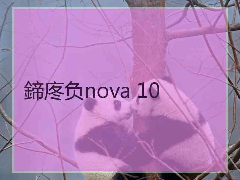 鍗庝负nova 10