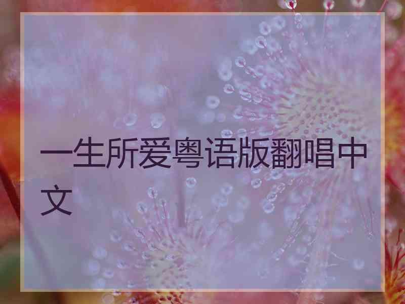 一生所爱粤语版翻唱中文