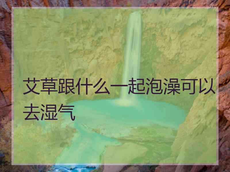 艾草跟什么一起泡澡可以去湿气