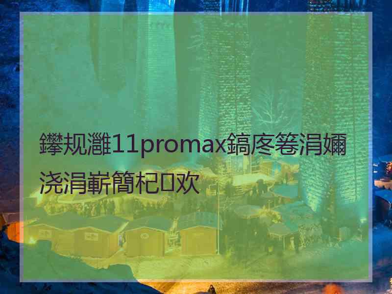 鑻规灉11promax鎬庝箞涓嬭浇涓嶄簡杞欢