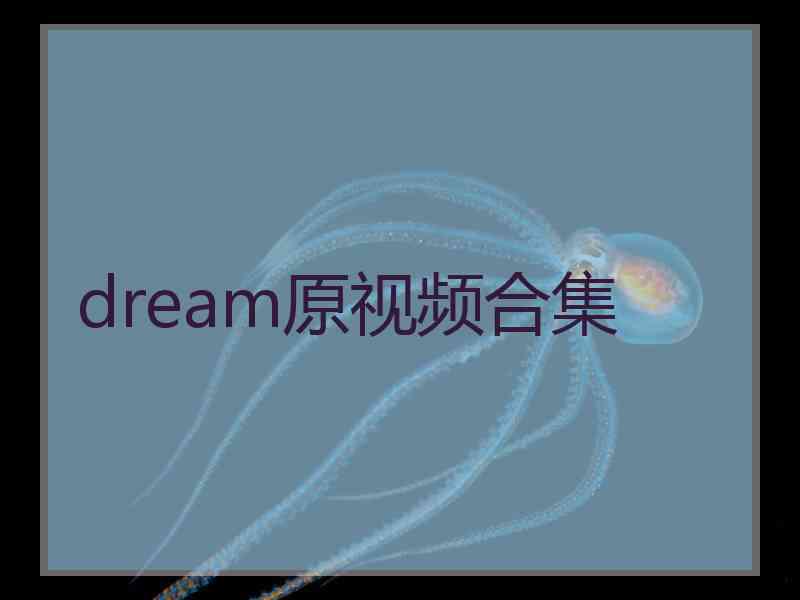 dream原视频合集