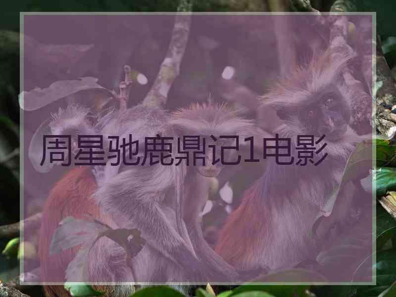 周星驰鹿鼎记1电影