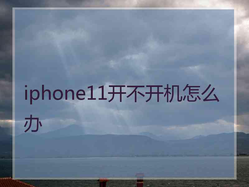 iphone11开不开机怎么办