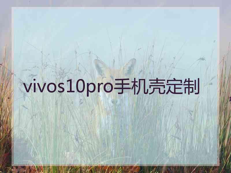 vivos10pro手机壳定制