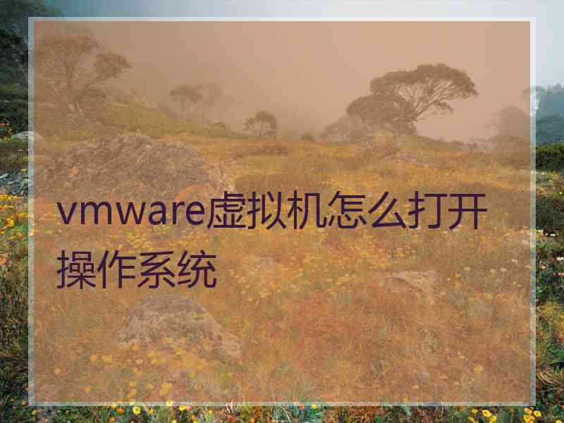 vmware虚拟机怎么打开操作系统