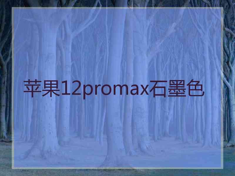 苹果12promax石墨色