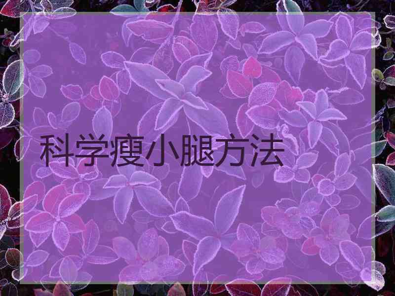 科学瘦小腿方法