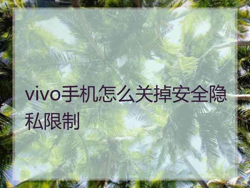 vivo手机怎么关掉安全隐私限制