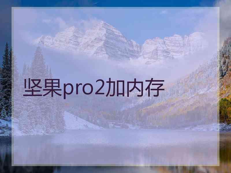 坚果pro2加内存