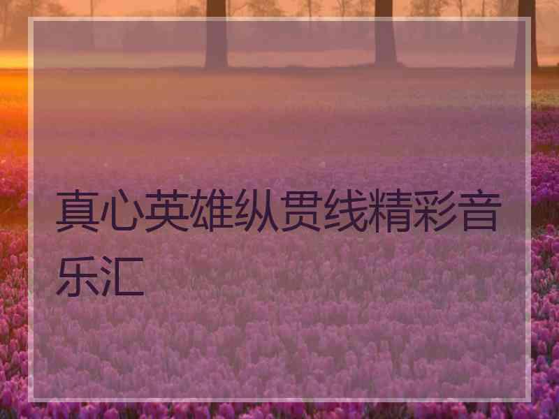 真心英雄纵贯线精彩音乐汇