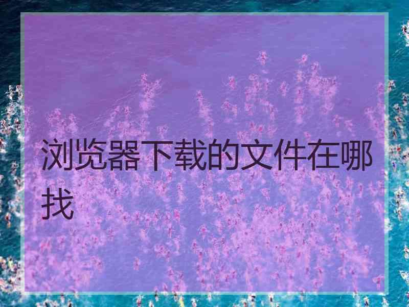 浏览器下载的文件在哪找