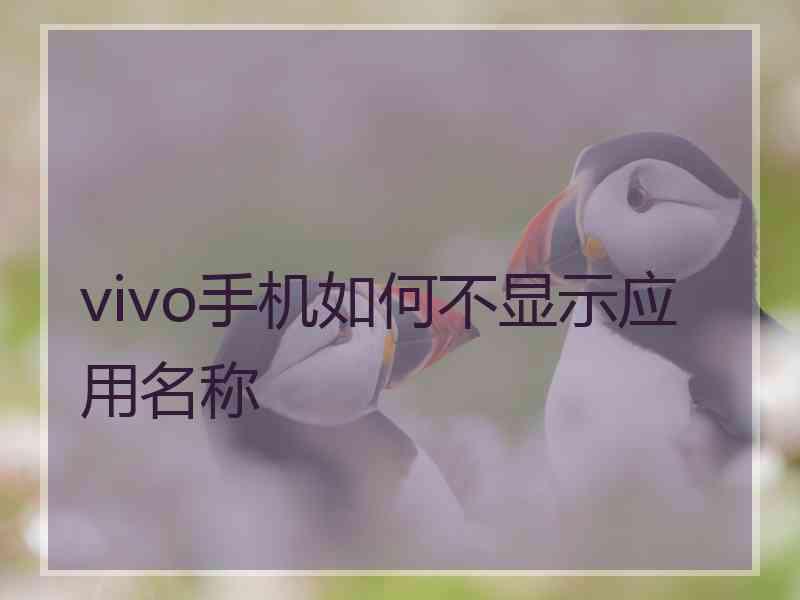 vivo手机如何不显示应用名称