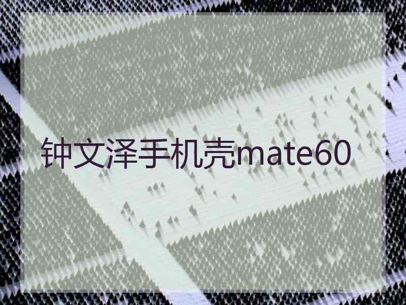 钟文泽手机壳mate60