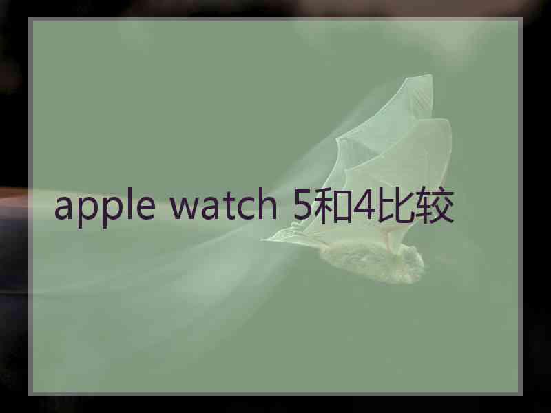 apple watch 5和4比较