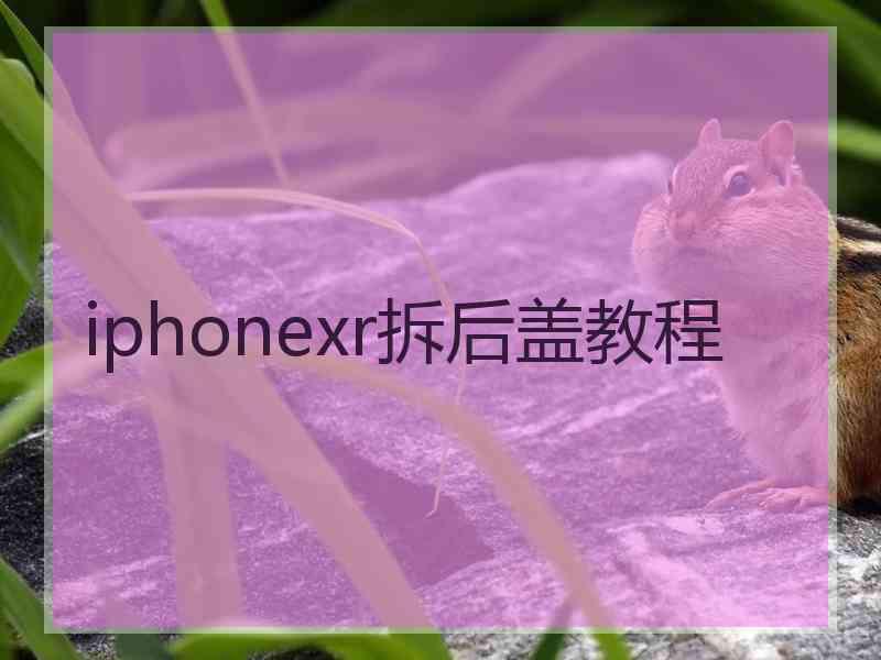 iphonexr拆后盖教程