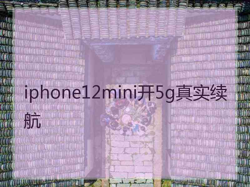 iphone12mini开5g真实续航