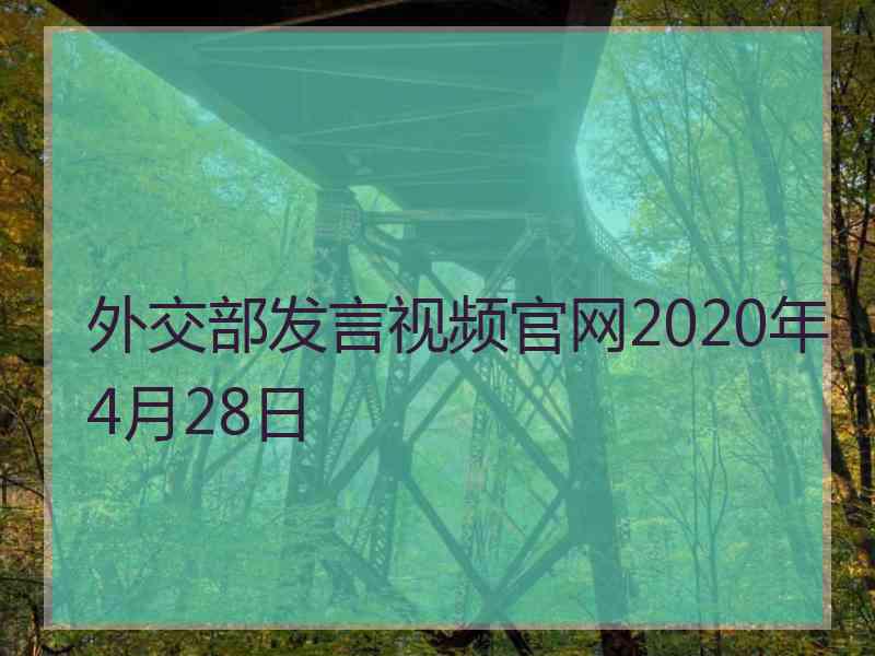 外交部发言视频官网2020年4月28日