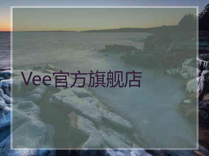 Vee官方旗舰店