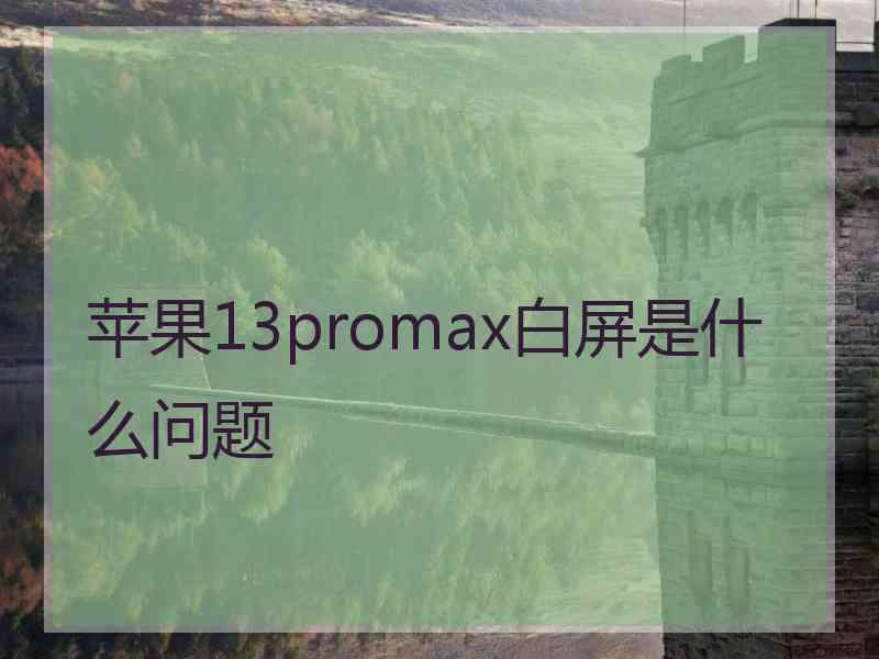 苹果13promax白屏是什么问题