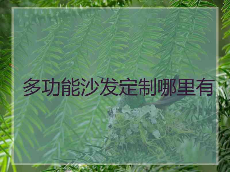 多功能沙发定制哪里有