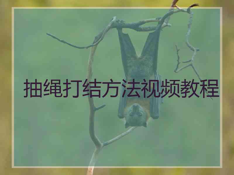 抽绳打结方法视频教程