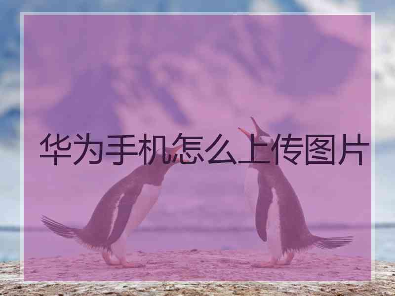 华为手机怎么上传图片