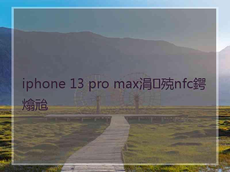 iphone 13 pro max涓殑nfc鍔熻兘