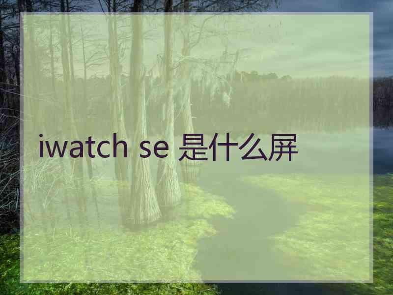 iwatch se 是什么屏