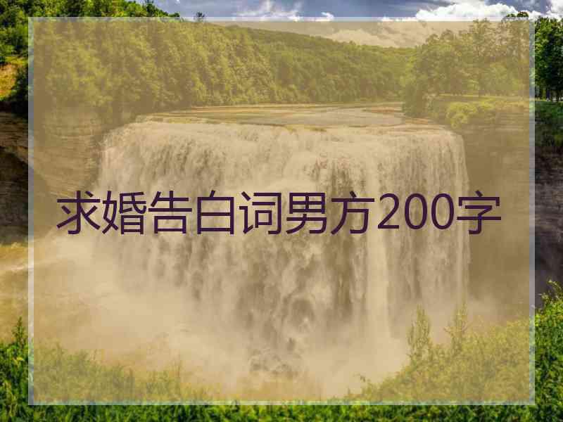 求婚告白词男方200字