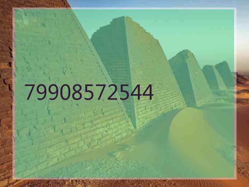 79908572544