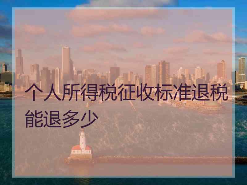 个人所得税征收标准退税能退多少