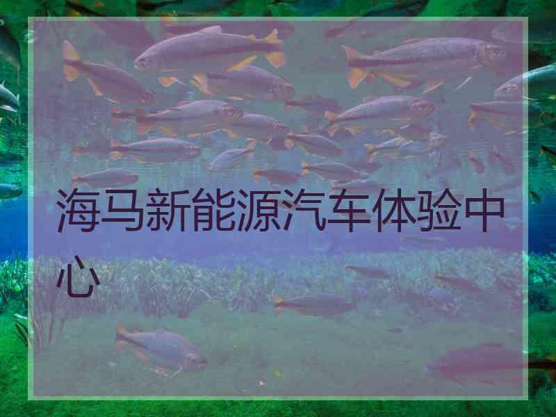 海马新能源汽车体验中心