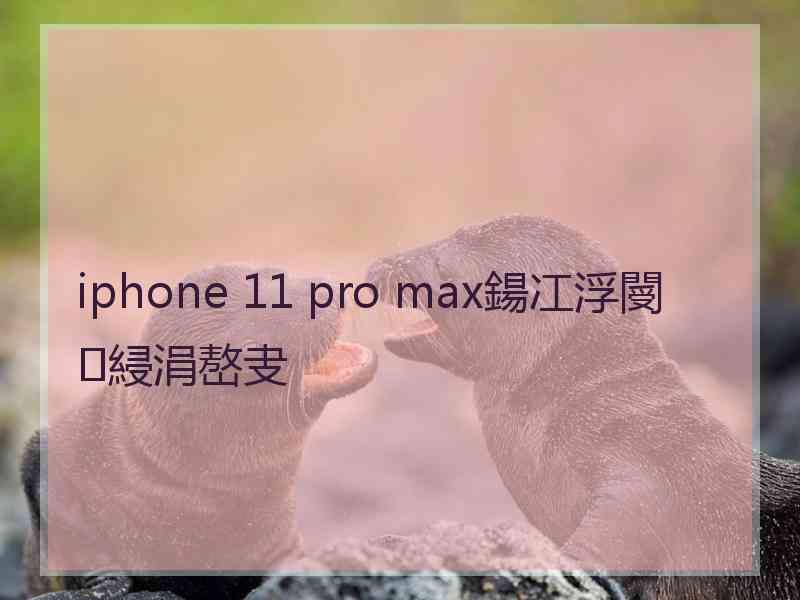 iphone 11 pro max鍚冮浮閿綅涓嶅叏