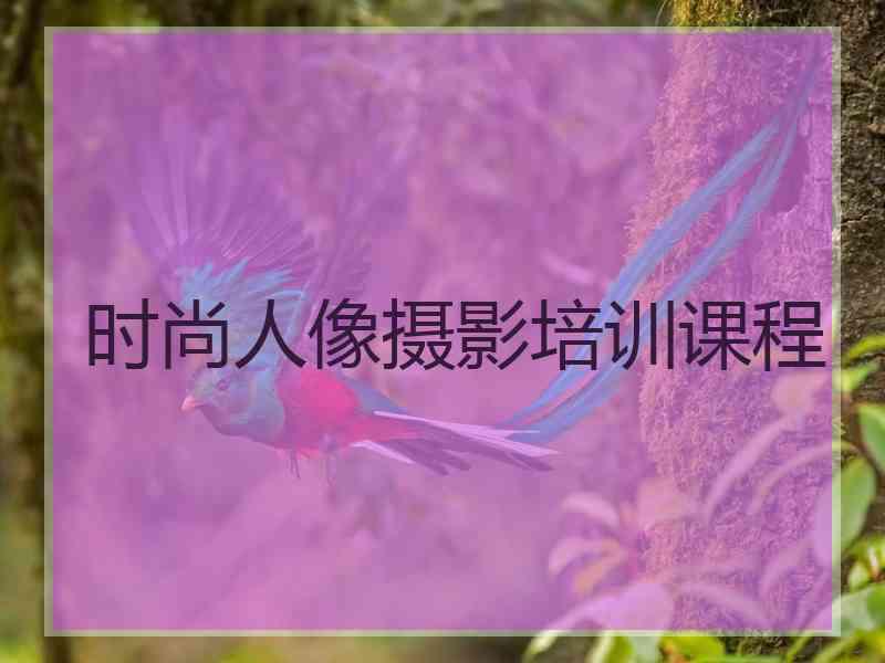 时尚人像摄影培训课程