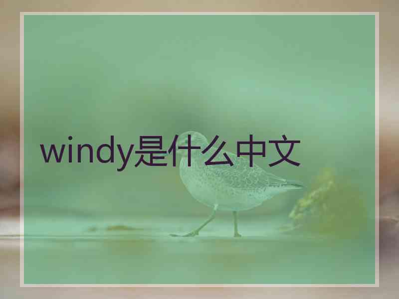 windy是什么中文