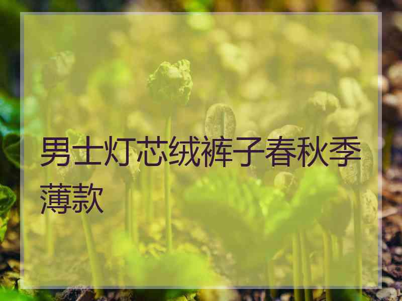 男士灯芯绒裤子春秋季薄款