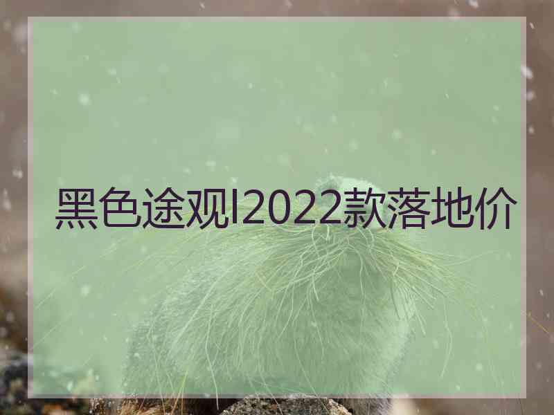 黑色途观l2022款落地价