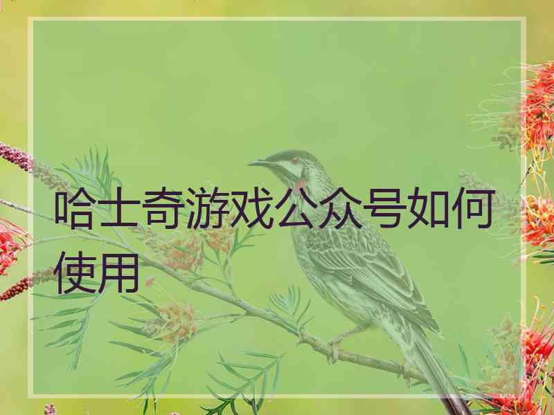 哈士奇游戏公众号如何使用