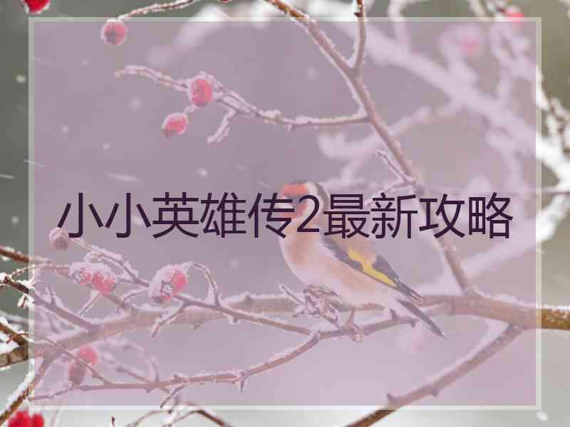 小小英雄传2最新攻略